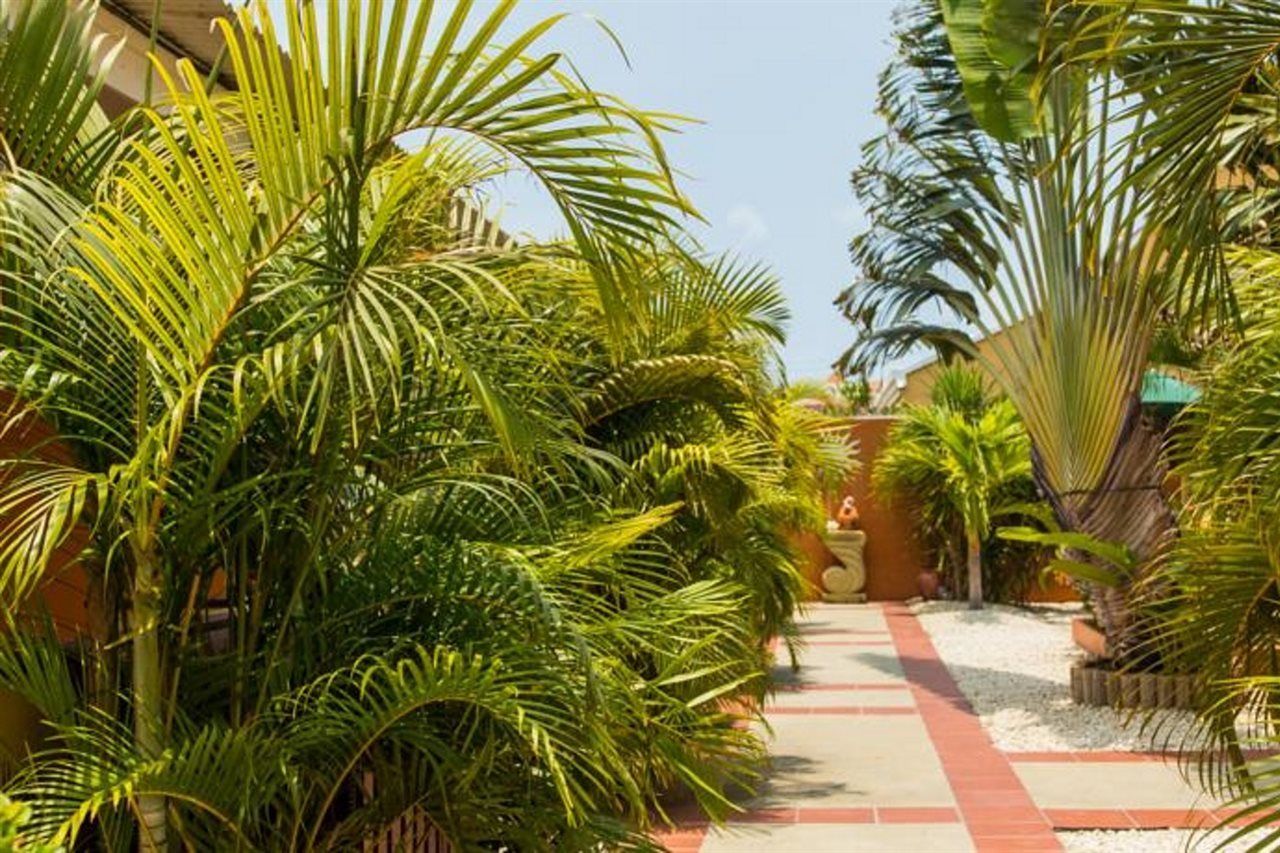 Carinas Studio Apartments Palm Beach Exterior foto